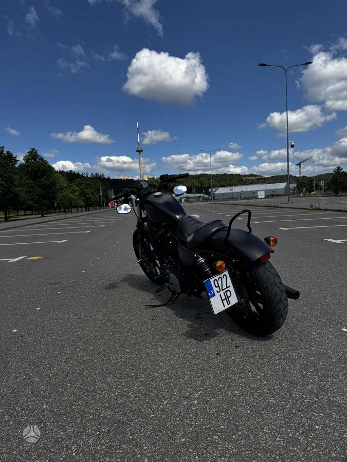 Harley-Davidson 883 883cc, choppers / cruisers / custom