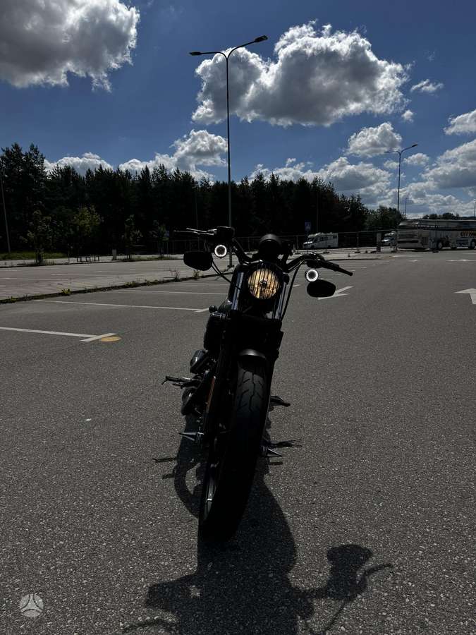 Harley-Davidson 883 883cc, choppers