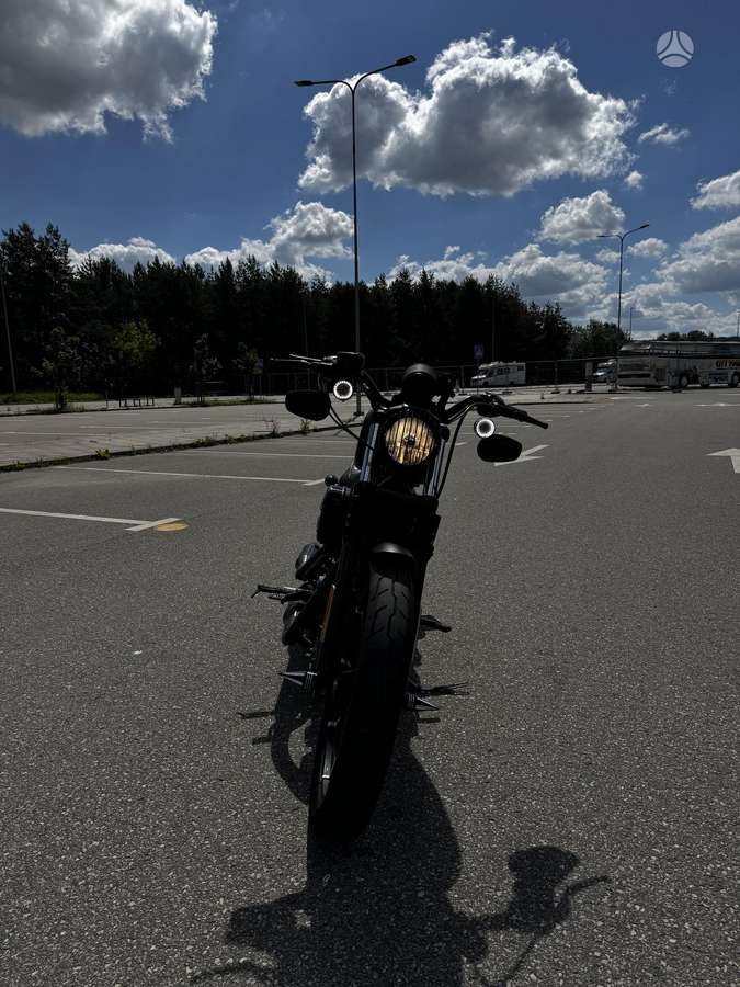 Harley-Davidson 883 883cc, choppers / cruisers / custom