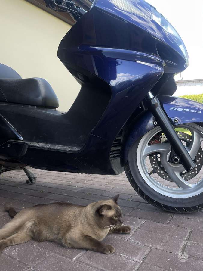 Honda Silverwing 600cc, scooters / mopeds