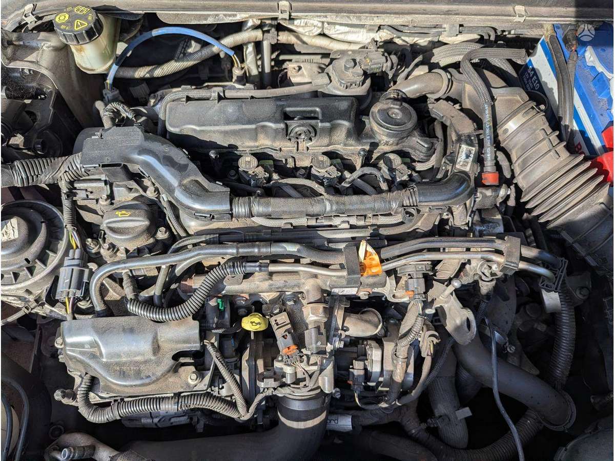Ford Mondeo variklis