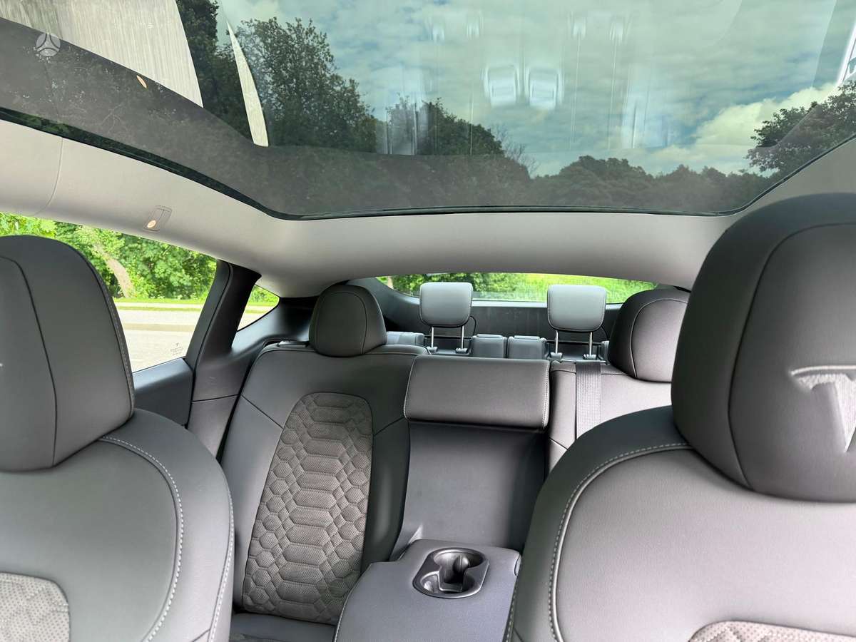 Tesla Model Y, hečbekas