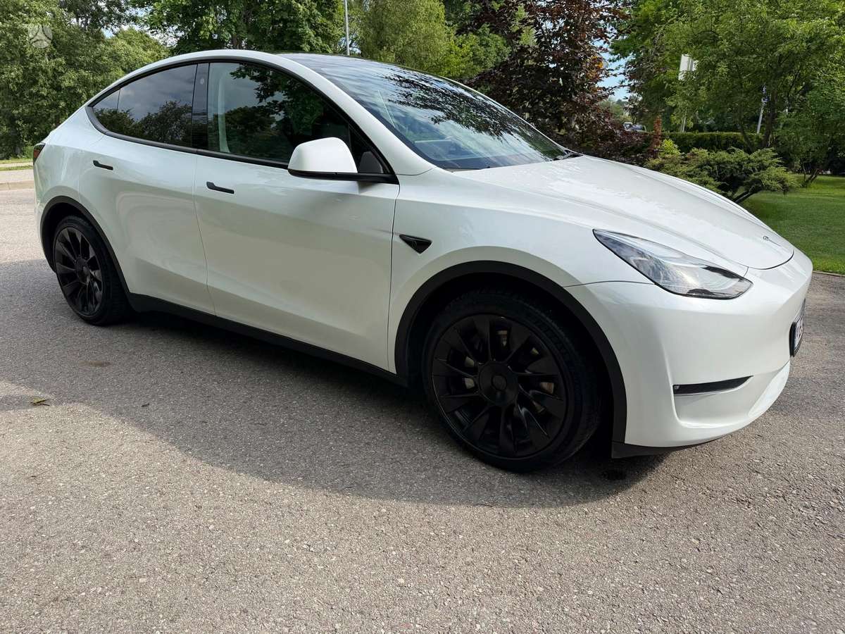 Tesla Model Y, hečbekas