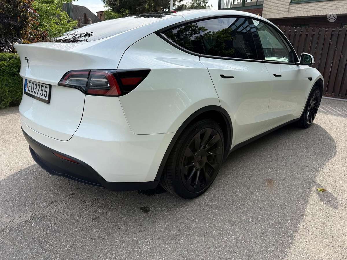 Tesla Model Y, hečbekas