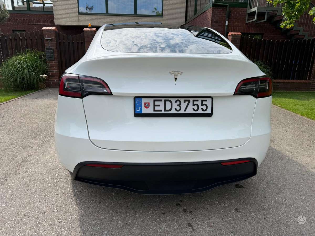 Tesla Model Y, Хэтчбек