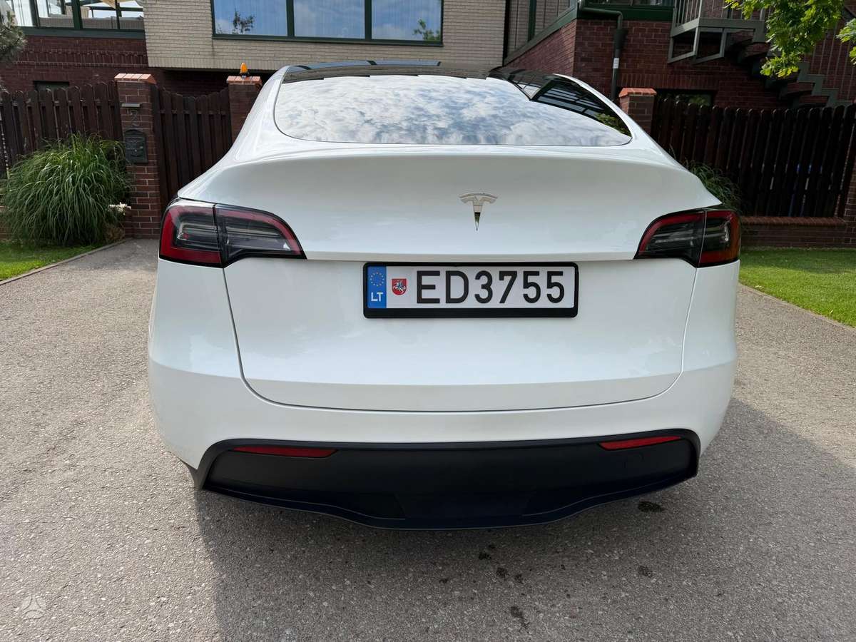 Tesla Model Y, Хэтчбек