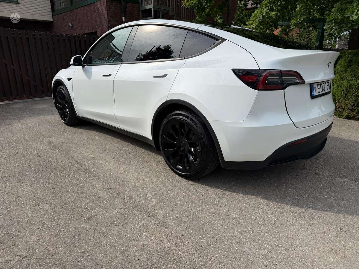 Tesla Model Y, hečbekas