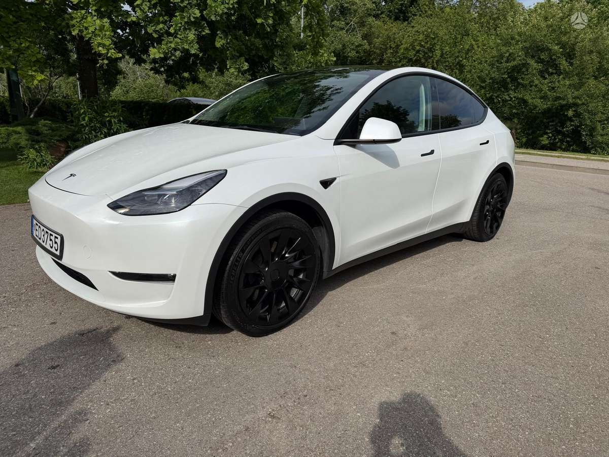 Tesla Model Y, hečbekas