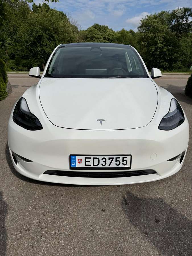 Tesla Model Y, Хэтчбек