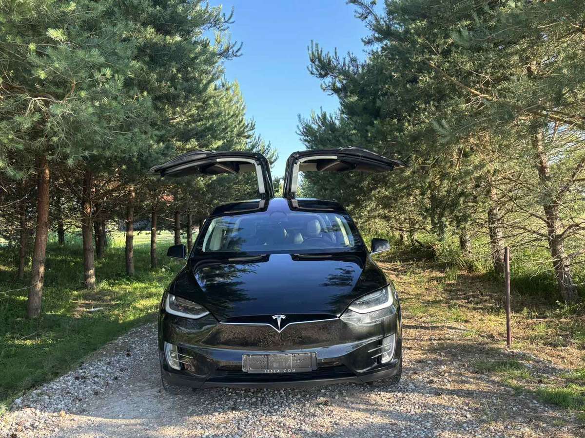 Tesla Model X, 75 kWh, off-road / crossover