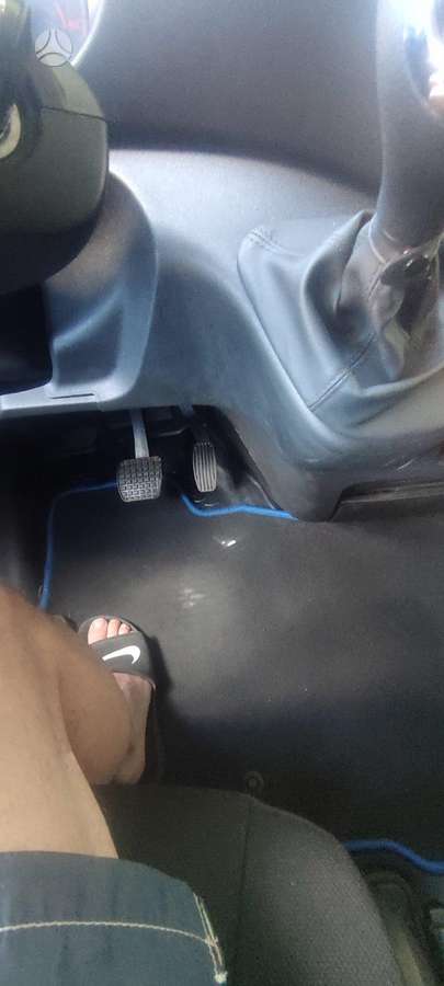 Iveco Daily, refrižerātori