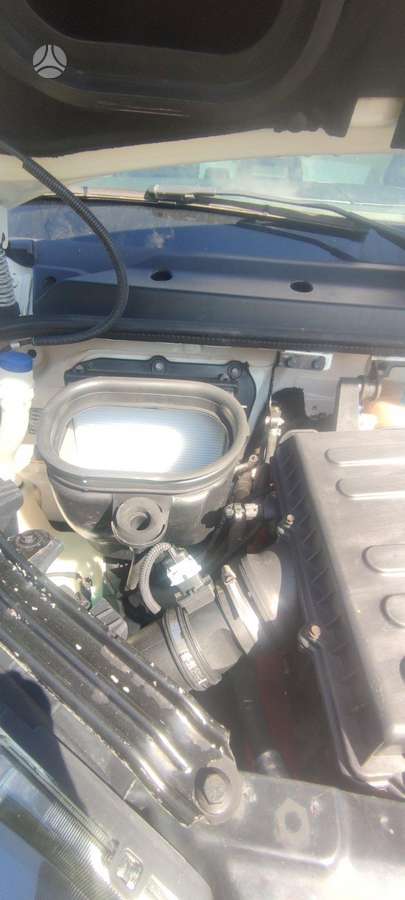 Iveco Daily, šaldytuvai