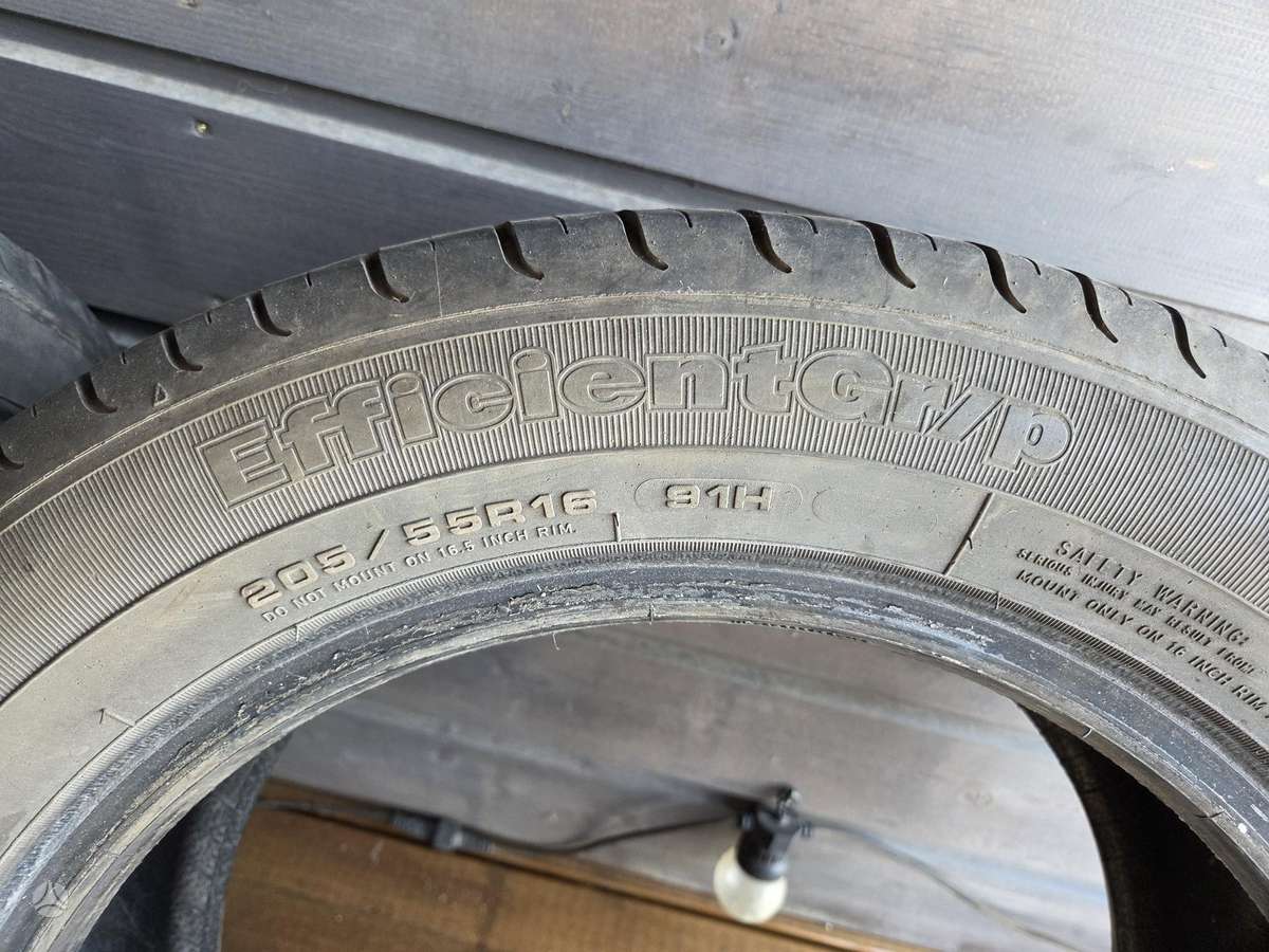 Goodyear EfficientGrip, vasarinės 205/55 R16