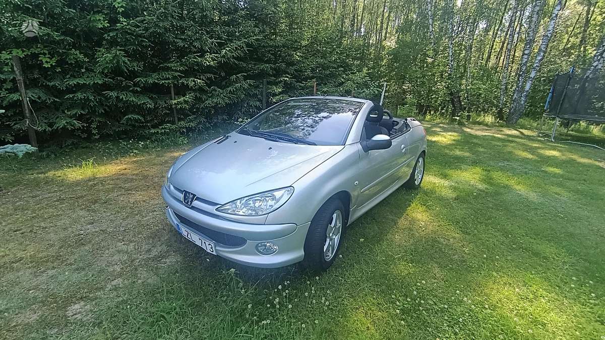 Peugeot 206 - 3