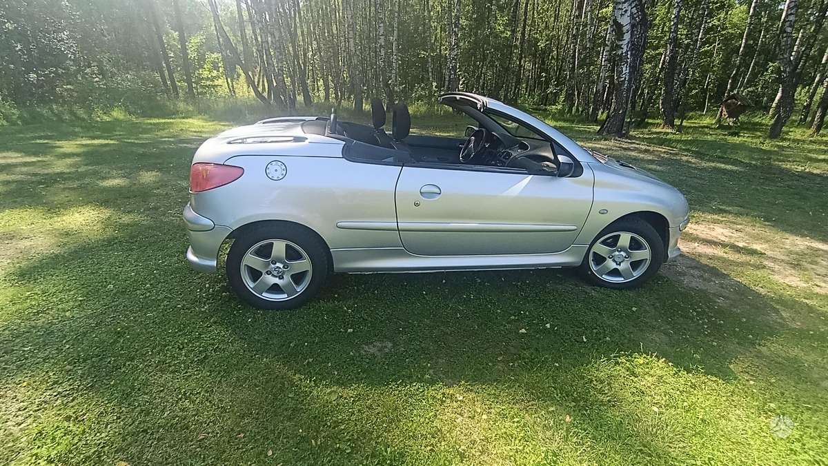 Peugeot 206 - 4