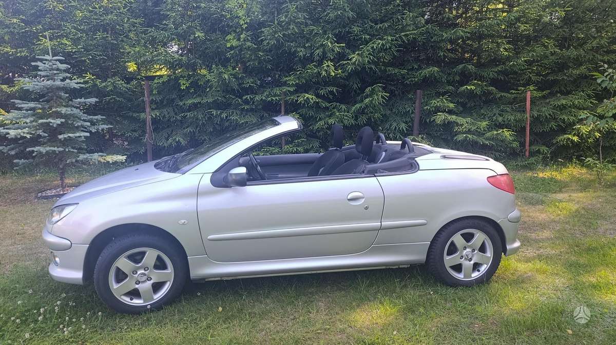 Peugeot 206 - 5