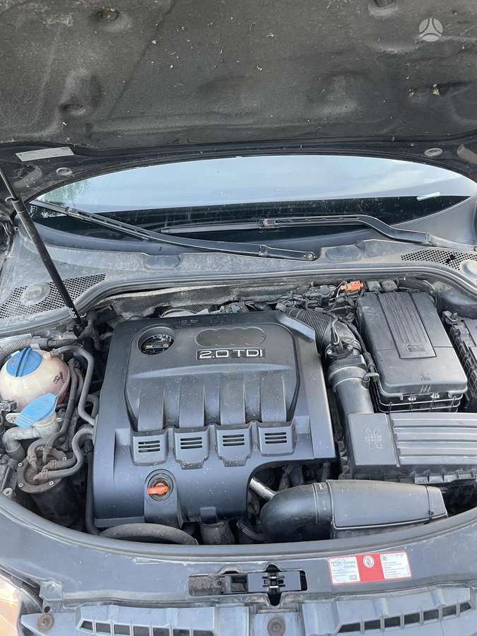 Audi A3, 2.0 l., Хэтчбек