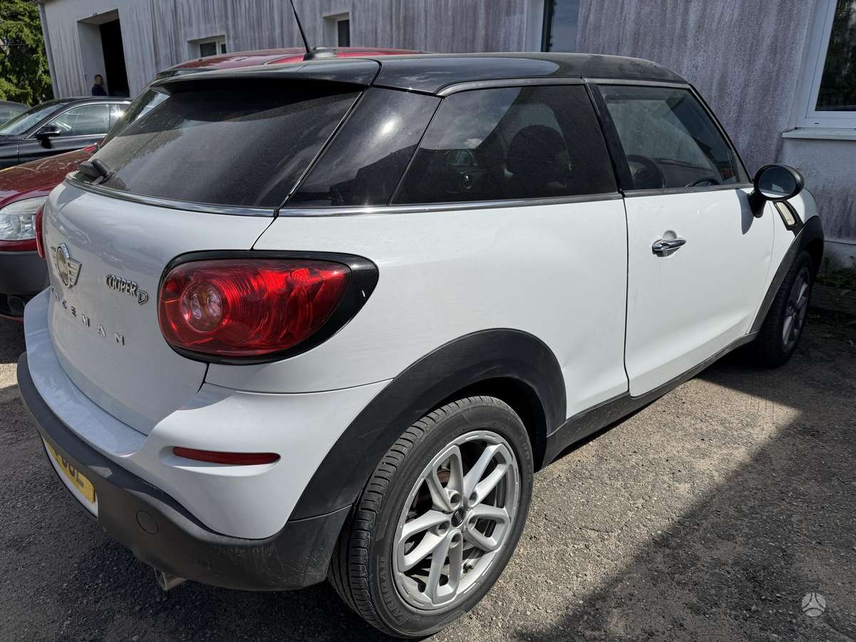 Mini Paceman