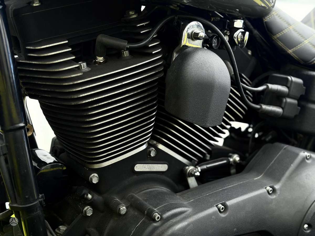 Harley-Davidson Dyna 1450cc, choppers