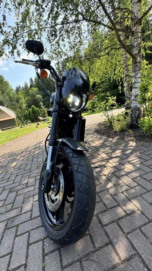 Harley-Davidson XR 1200cc, street / classic