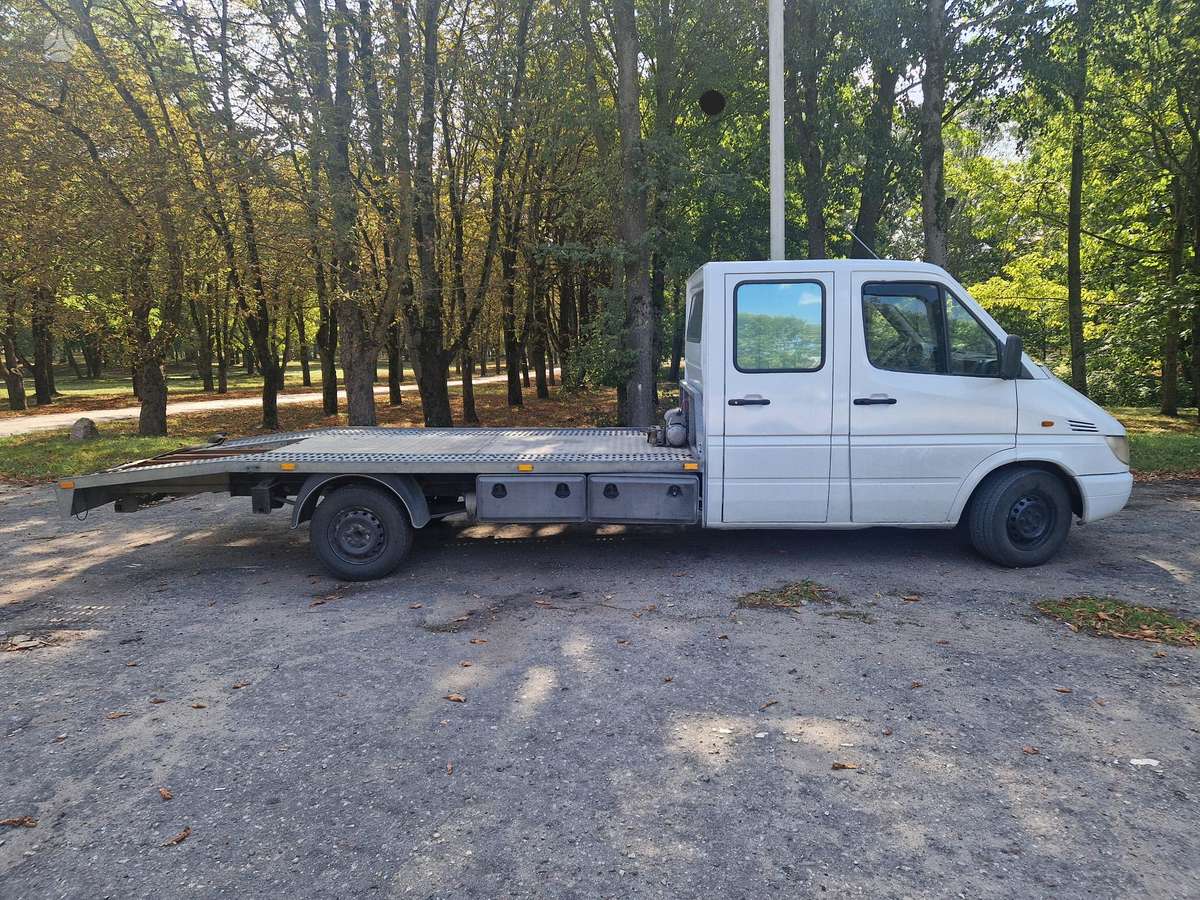 Mercedes-Benz Sprinter, автовозы