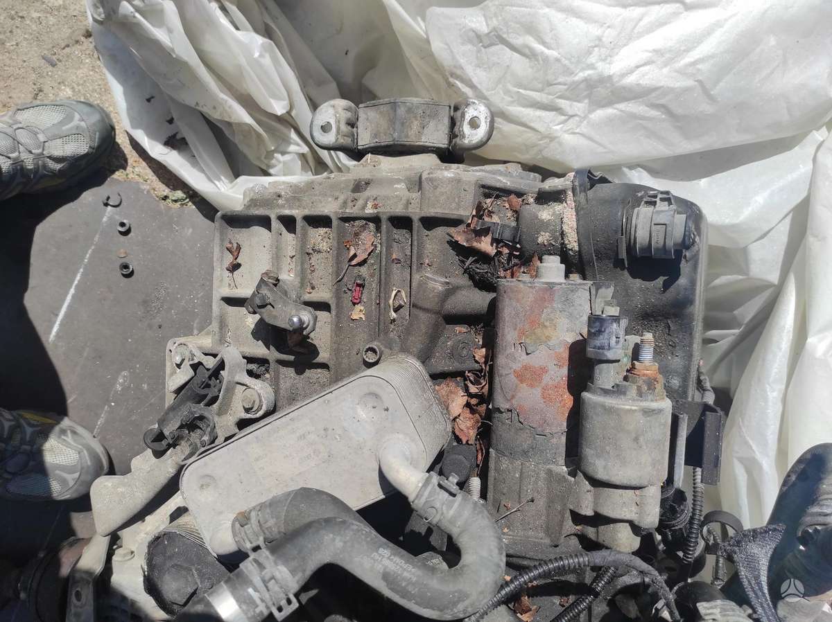 Volkswagen Transporter Tik variklis ir dėžė