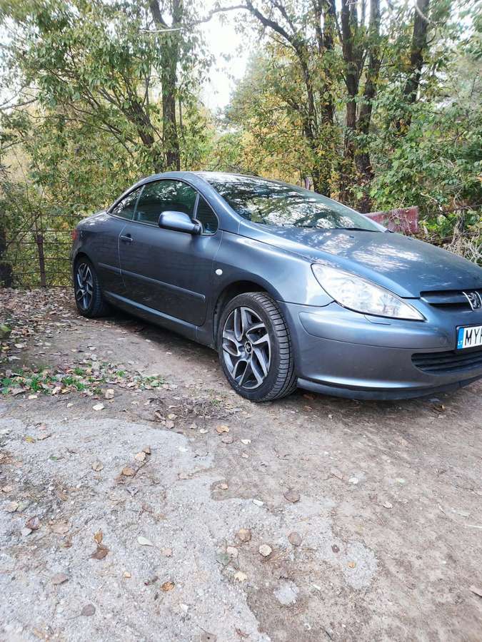 Peugeot 307 - 1