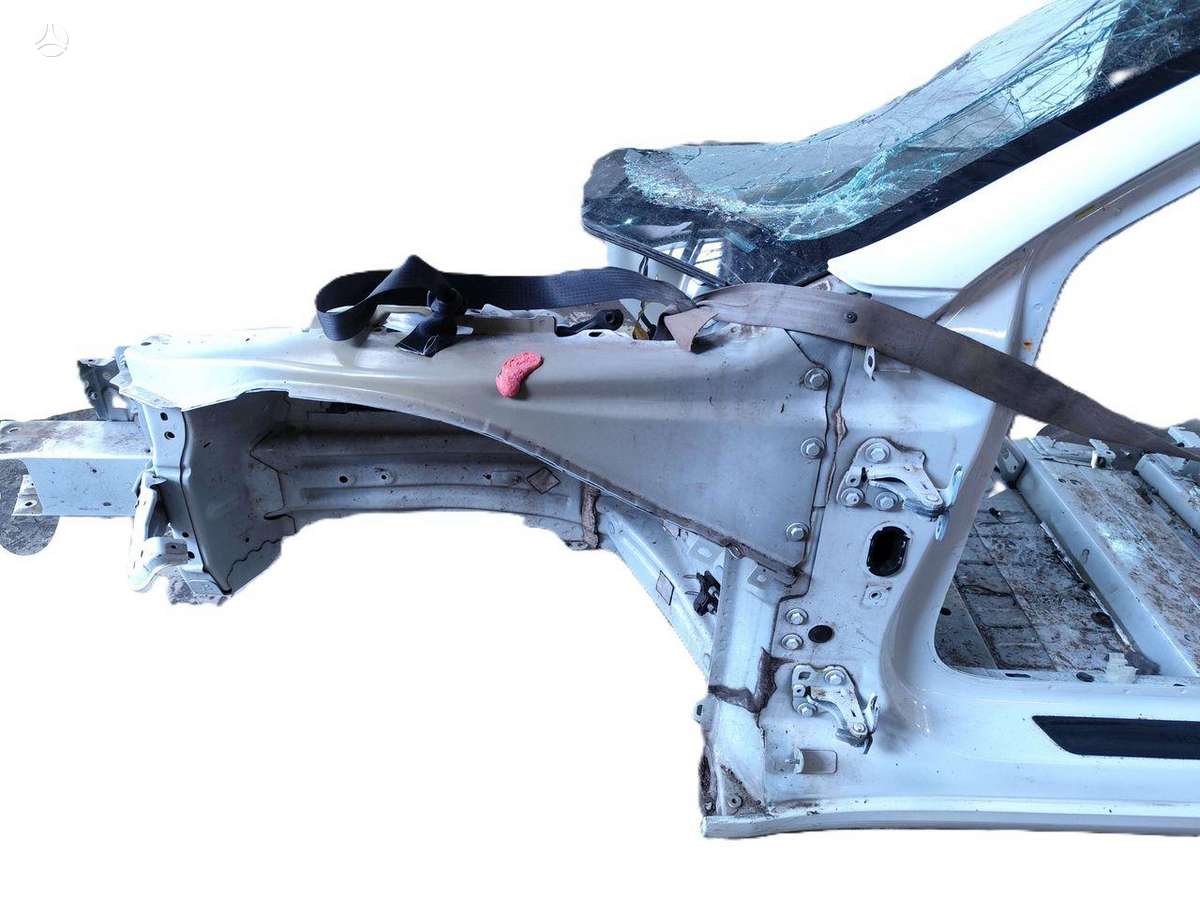 Tesla Model 3 dangtis (priekinis, galinis)