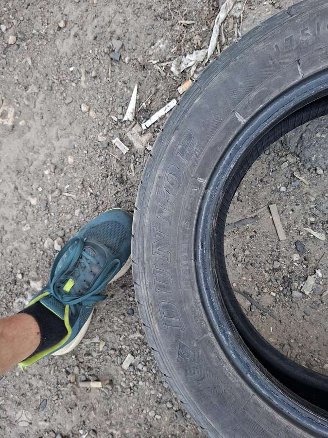 Dunlop, vasarinės 175/65 R15