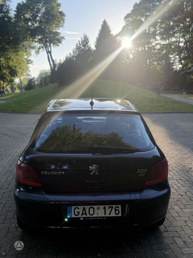 Peugeot 307, 2.0 l., hatchback