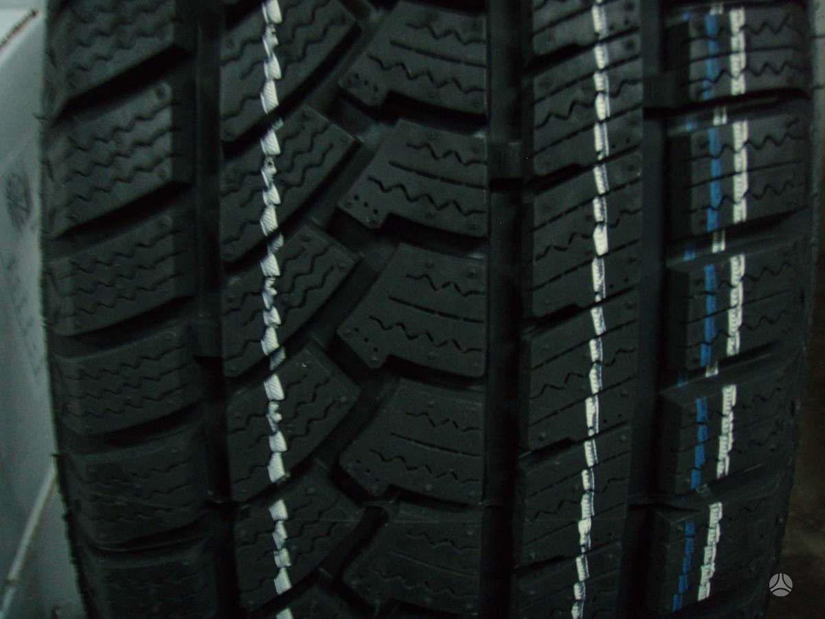 Sunny, winter 225/60 R17