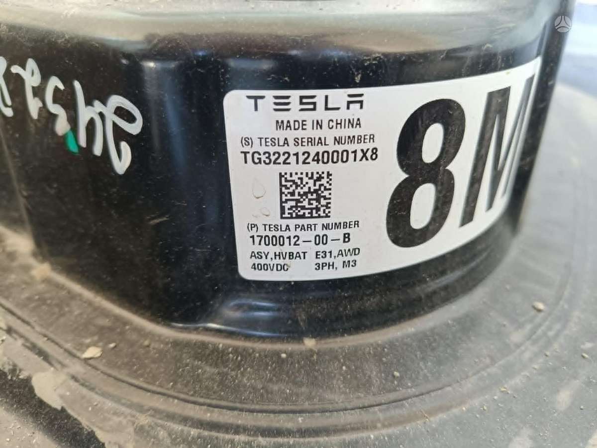 Tesla Model 3, 170001200B, generatorius