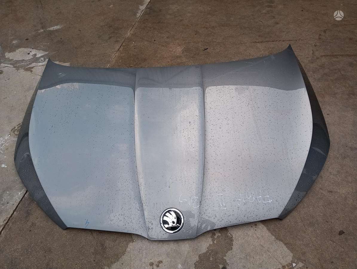 Skoda Fabia детали кузова
