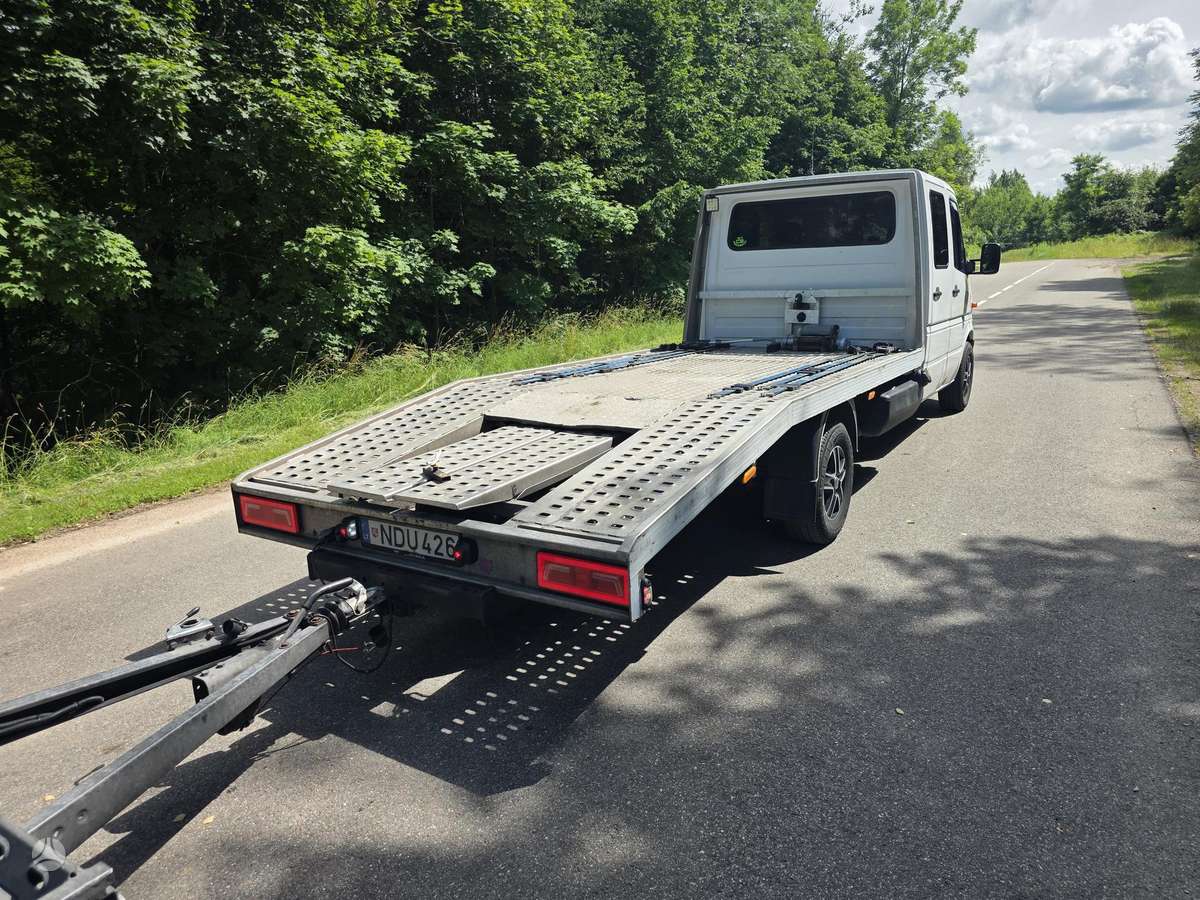 Mercedes-Benz Sprinter, auto transporters