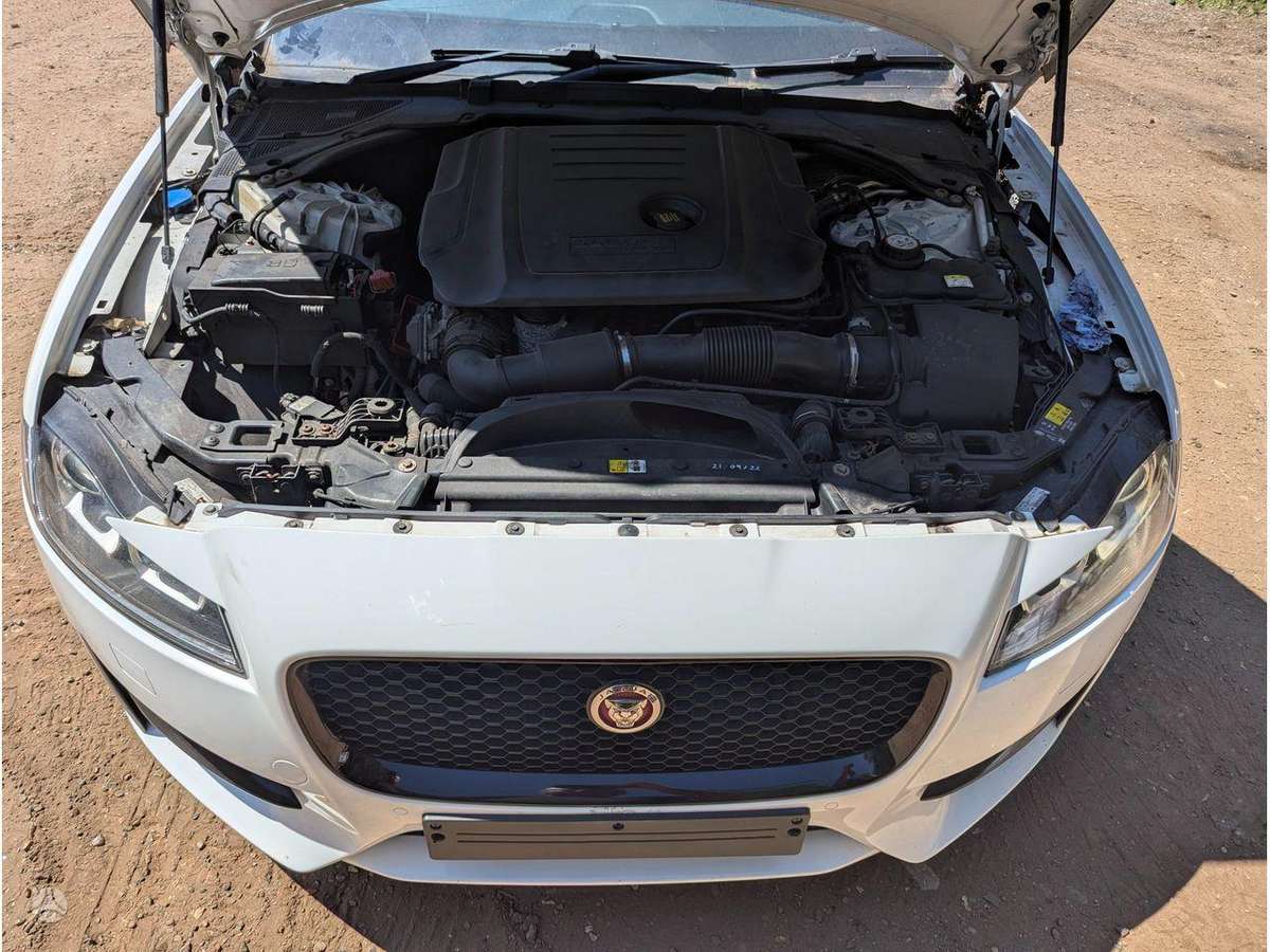Jaguar XF variklis