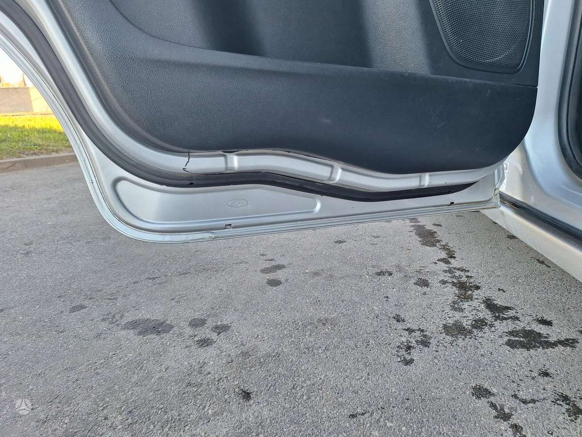 Ford S-MAX, 2.0 l., mpv / minivan