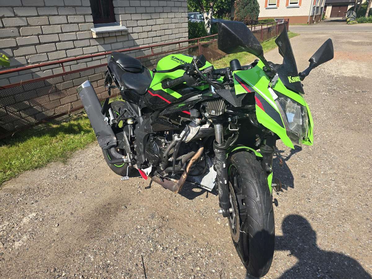 Kawasaki Ninja 125, street / classic