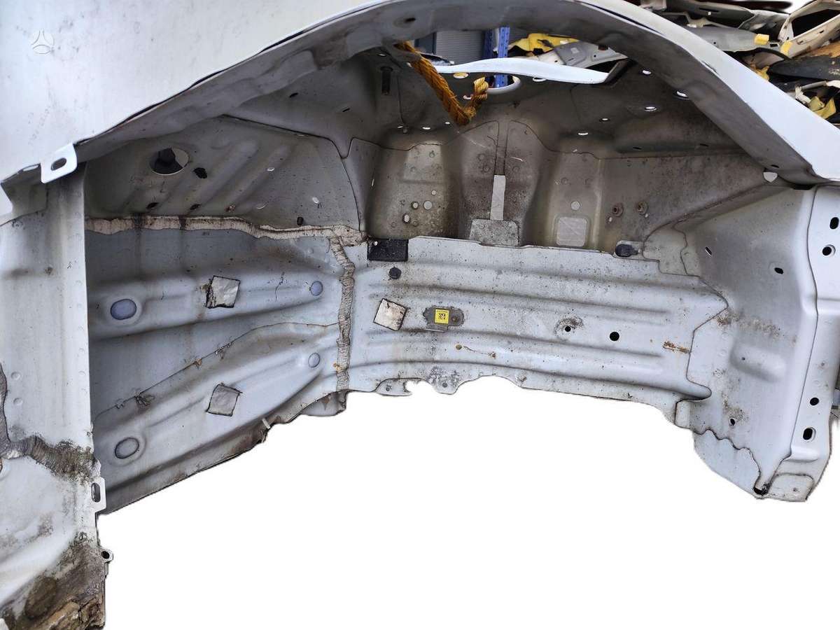 Tesla Model 3 dangtis (priekinis, galinis)