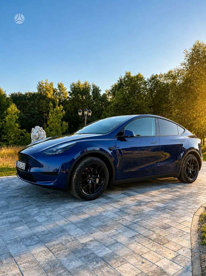 Tesla Model Y, 60 кВт·ч, Хэтчбек
