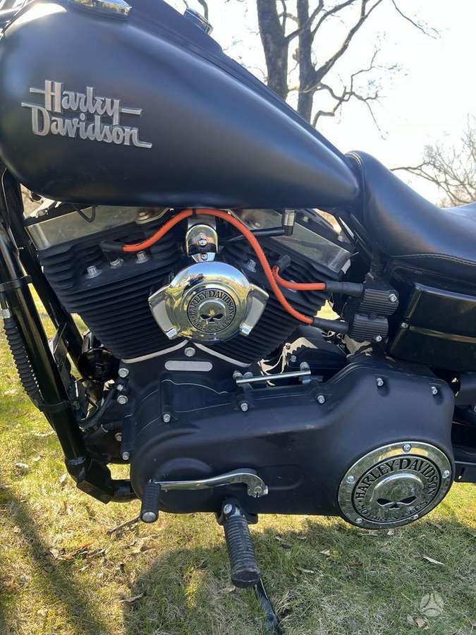 Harley-Davidson Dyna 1688cc, choppers