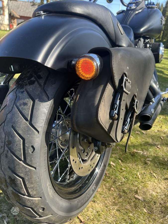 Harley-Davidson Dyna 1688cc, choppers