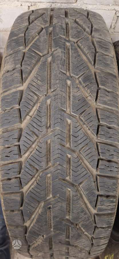 Tigar, winter 205/60 R16