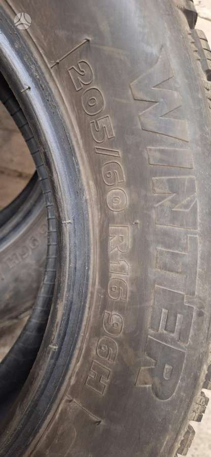 Tigar, winter 205/60 R16