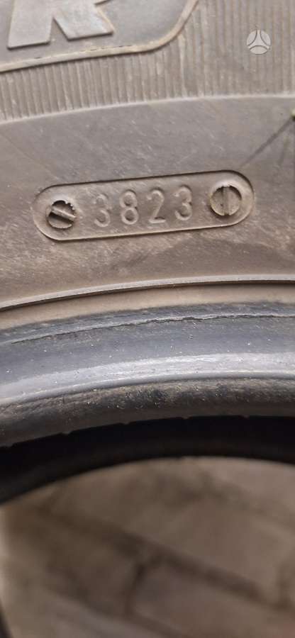 Tigar, winter 205/60 R16