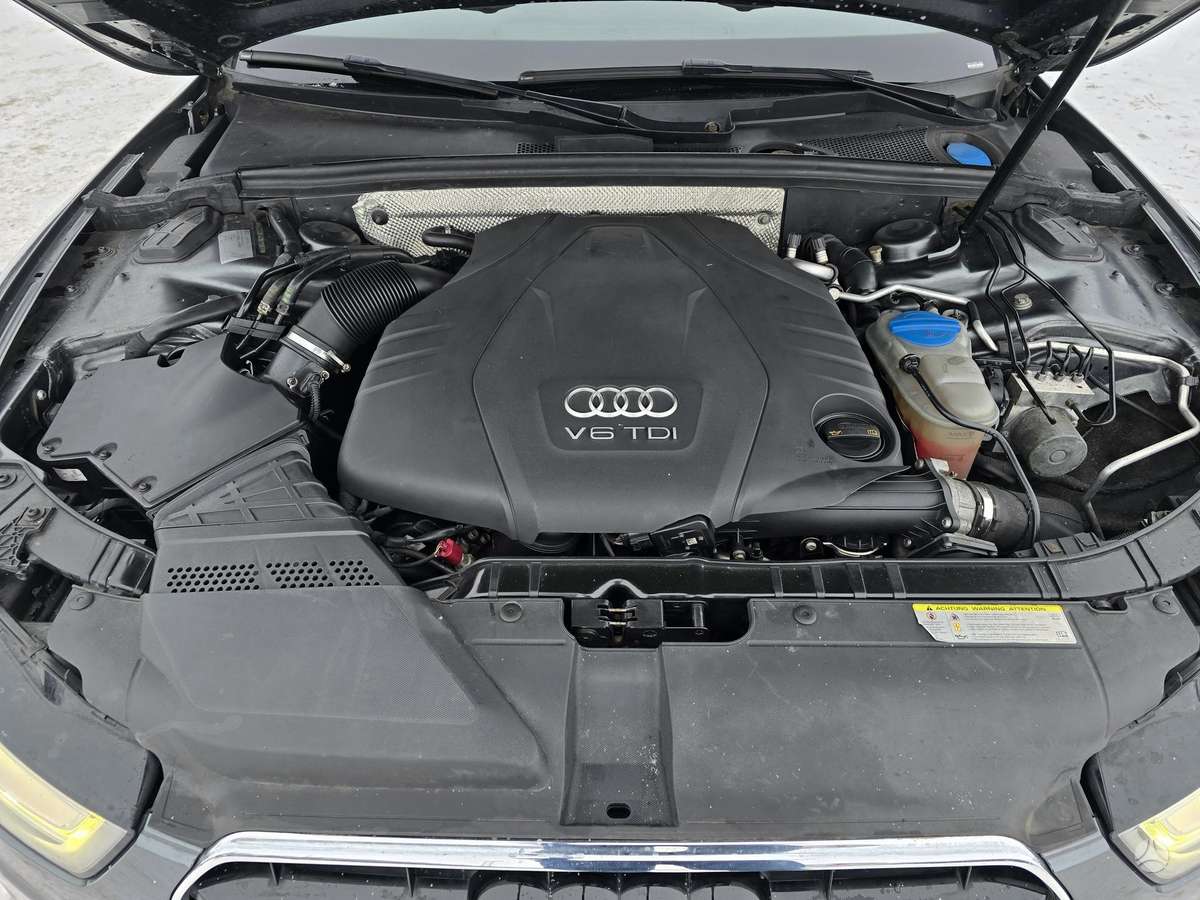 Audi A5, 3.0 l., kabrioletas