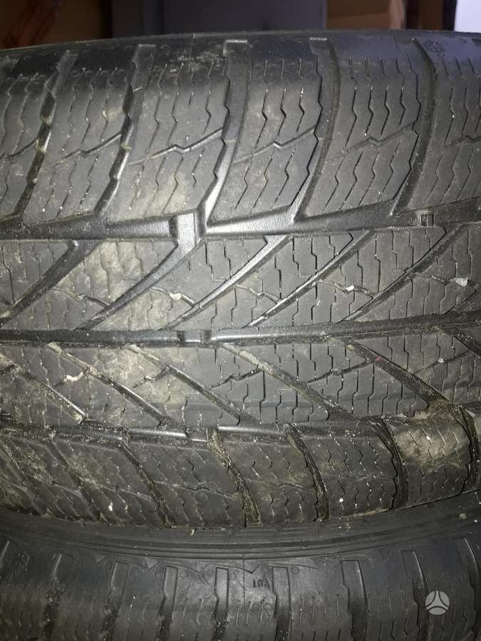 Dunlop, other 195/65 R15