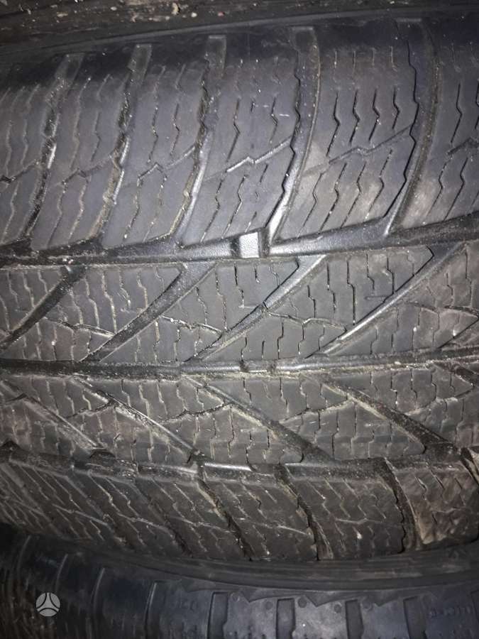 Dunlop, other 195/65 R15