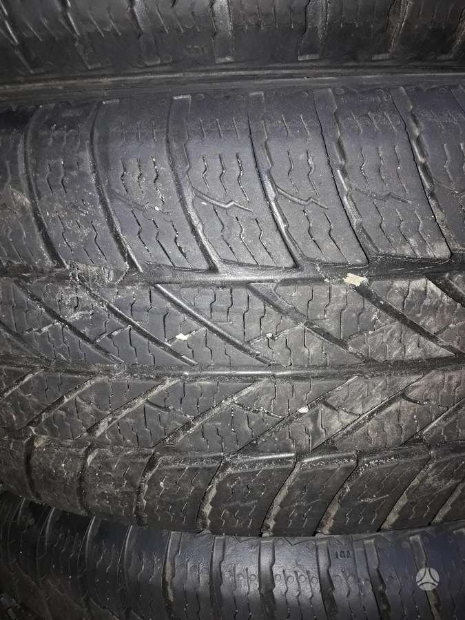 Dunlop, other 195/65 R15