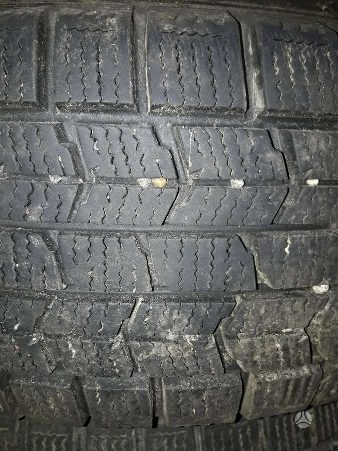 Dunlop, other 195/65 R15