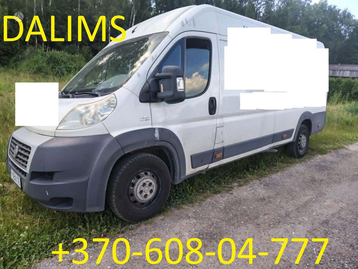 Fiat Ducato, cargo vans